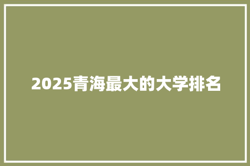 2025青海最大的大学排名
