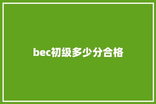bec初级多少分合格 词汇积累