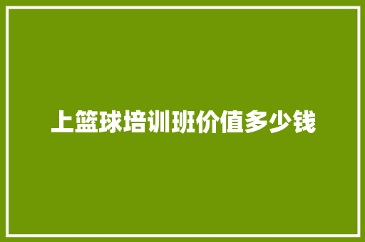 上篮球培训班价值多少钱