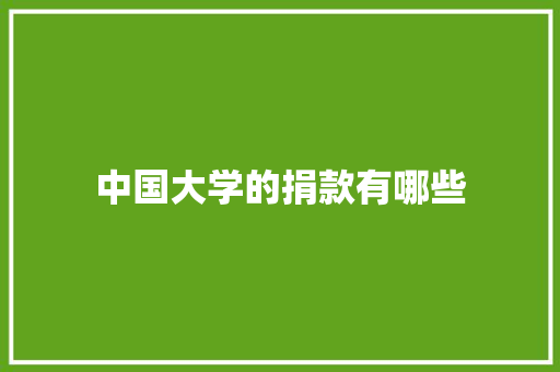 中国大学的捐款有哪些