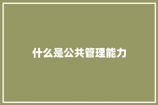 什么是公共管理能力