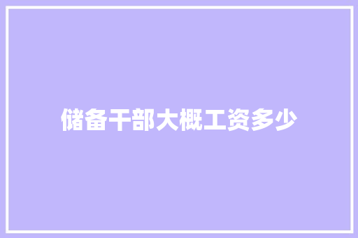 储备干部大概工资多少