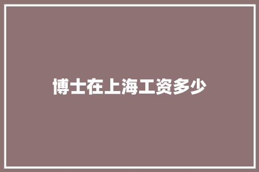 博士在上海工资多少