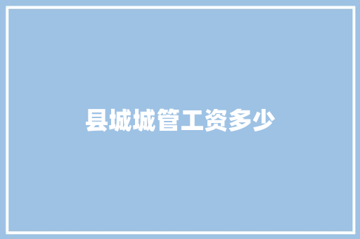 县城城管工资多少
