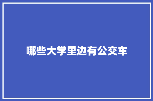 哪些大学里边有公交车