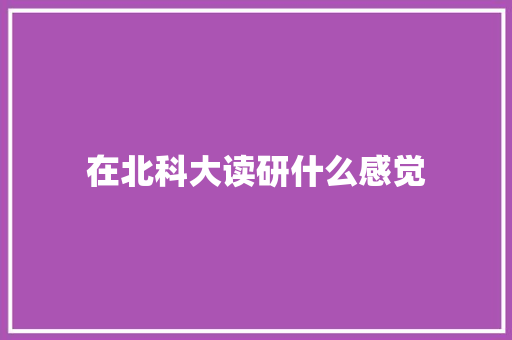 在北科大读研什么感觉