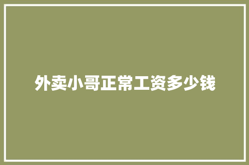 外卖小哥正常工资多少钱