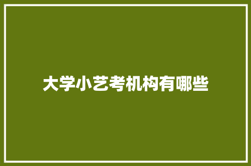 大学小艺考机构有哪些