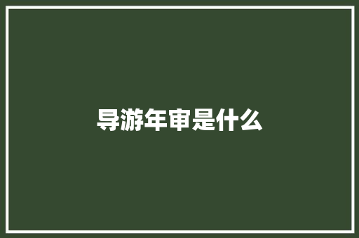 导游年审是什么