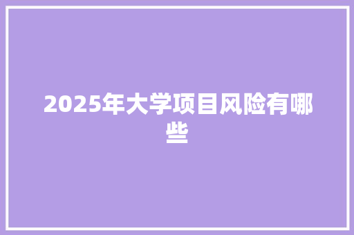 2025年大学项目风险有哪些
