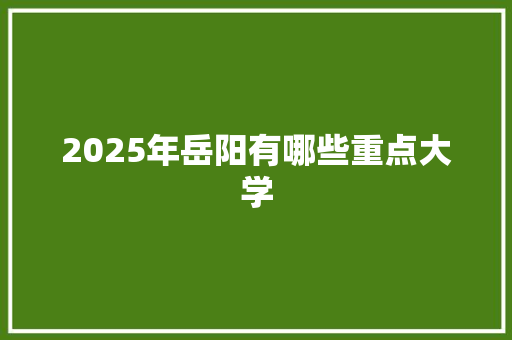 2025年岳阳有哪些重点大学