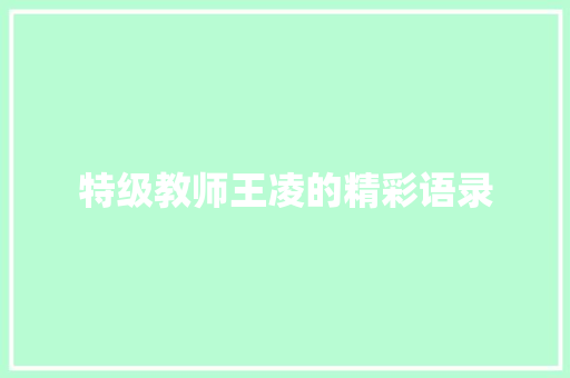特级教师王凌的精彩语录 词汇积累