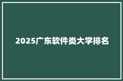 2025广东软件类大学排名