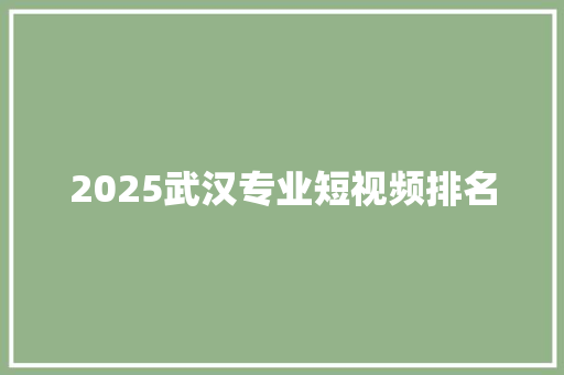 2025武汉专业短视频排名