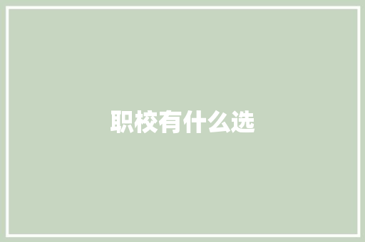 职校有什么选