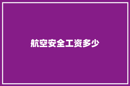 航空安全工资多少