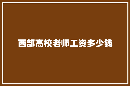 西部高校老师工资多少钱