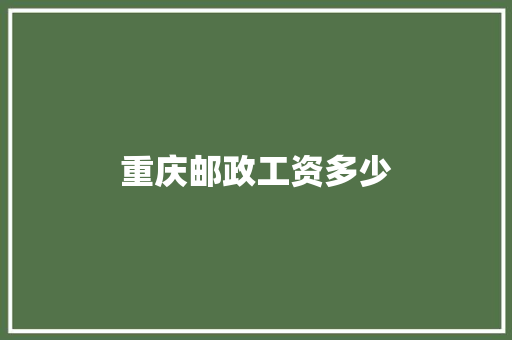 重庆邮政工资多少 简历模板