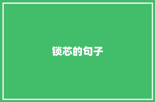 锁芯的句子