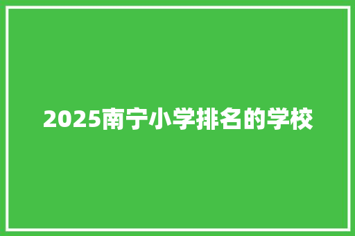 2025南宁小学排名的学校
