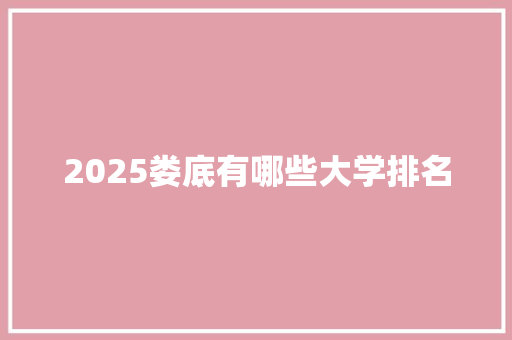 2025娄底有哪些大学排名