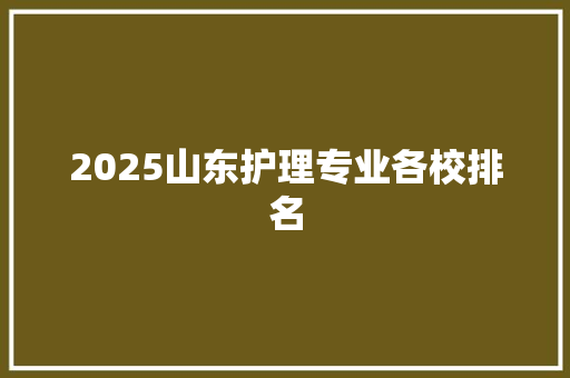2025山东护理专业各校排名