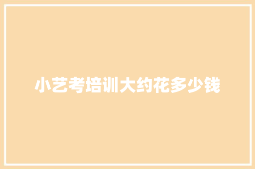 小艺考培训大约花多少钱