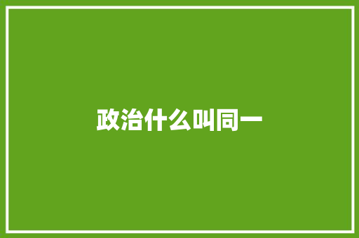 政治什么叫同一