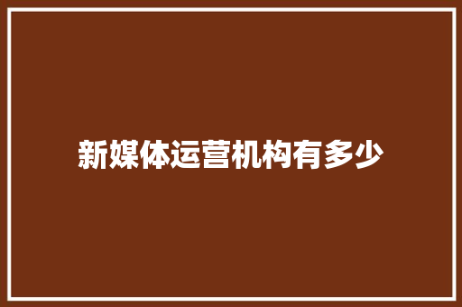 新媒体运营机构有多少 范文赏析