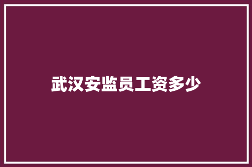 武汉安监员工资多少