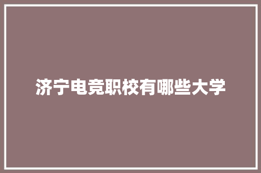 济宁电竞职校有哪些大学