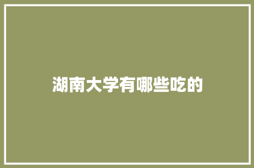 湖南大学有哪些吃的