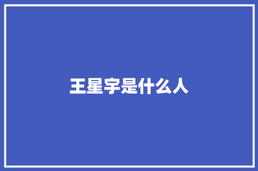 王星宇是什么人