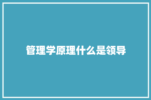 管理学原理什么是领导