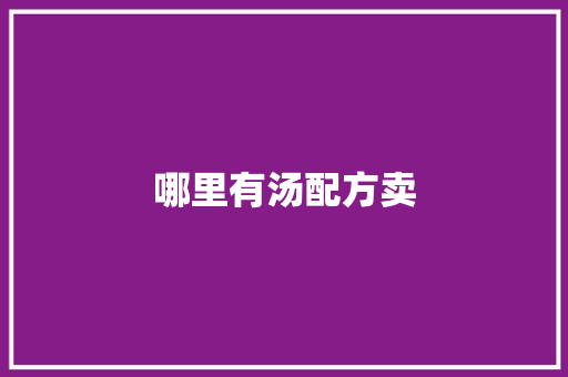 哪里有汤配方卖