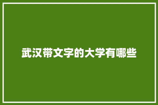 武汉带文字的大学有哪些