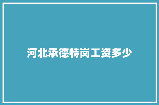 河北承德特岗工资多少