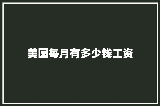 美国每月有多少钱工资