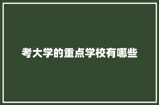考大学的重点学校有哪些 报告写作