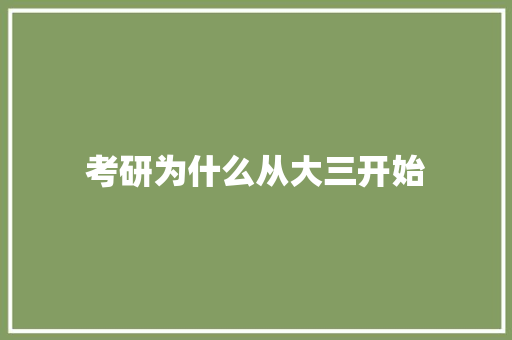 考研为什么从大三开始 词汇积累