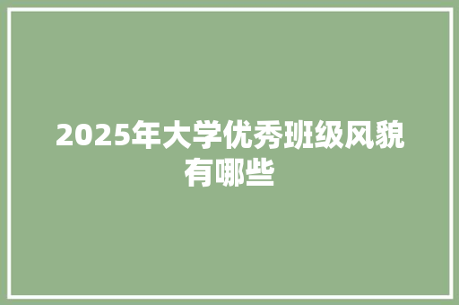 2025年大学优秀班级风貌有哪些