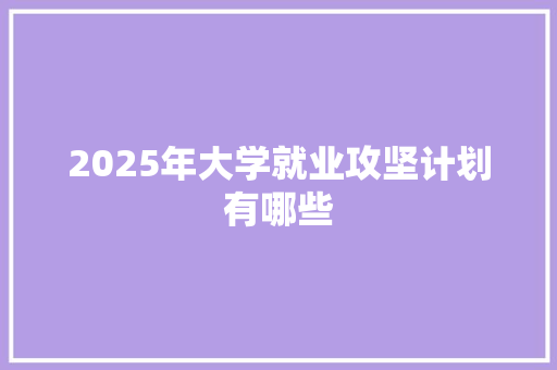 2025年大学就业攻坚计划有哪些