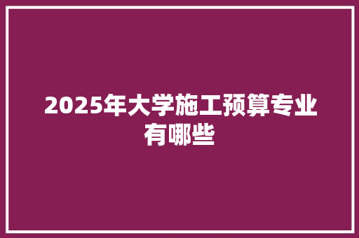 2025年大学施工预算专业有哪些