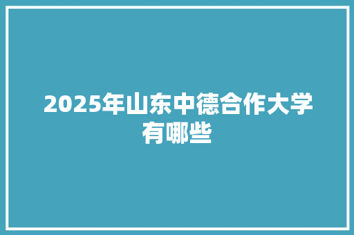 2025年山东中德合作大学有哪些