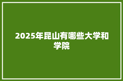 2025年昆山有哪些大学和学院 词汇积累