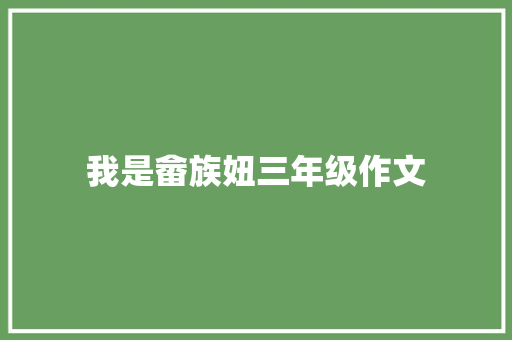 我是畲族妞三年级作文