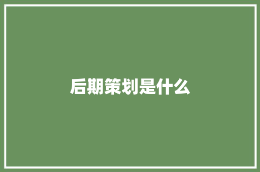 后期策划是什么