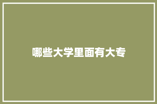 哪些大学里面有大专