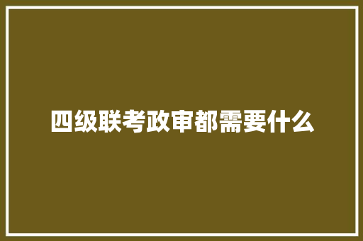 四级联考政审都需要什么