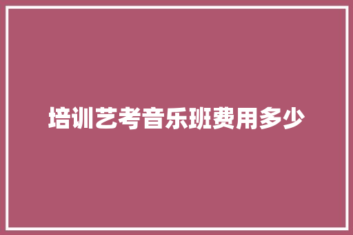 培训艺考音乐班费用多少